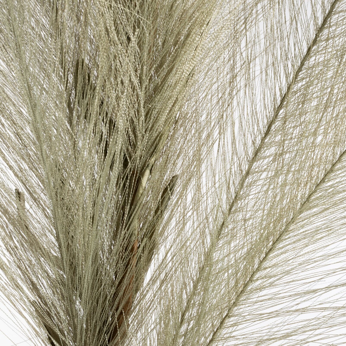 a4d272f07b143c859b15a16629411f28