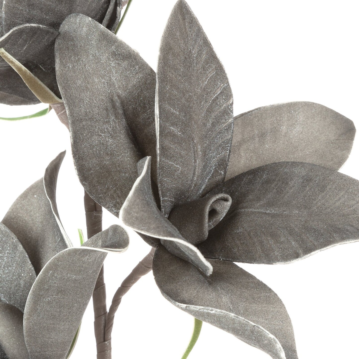 9e3cb68054c885db07e88496ba53abf8