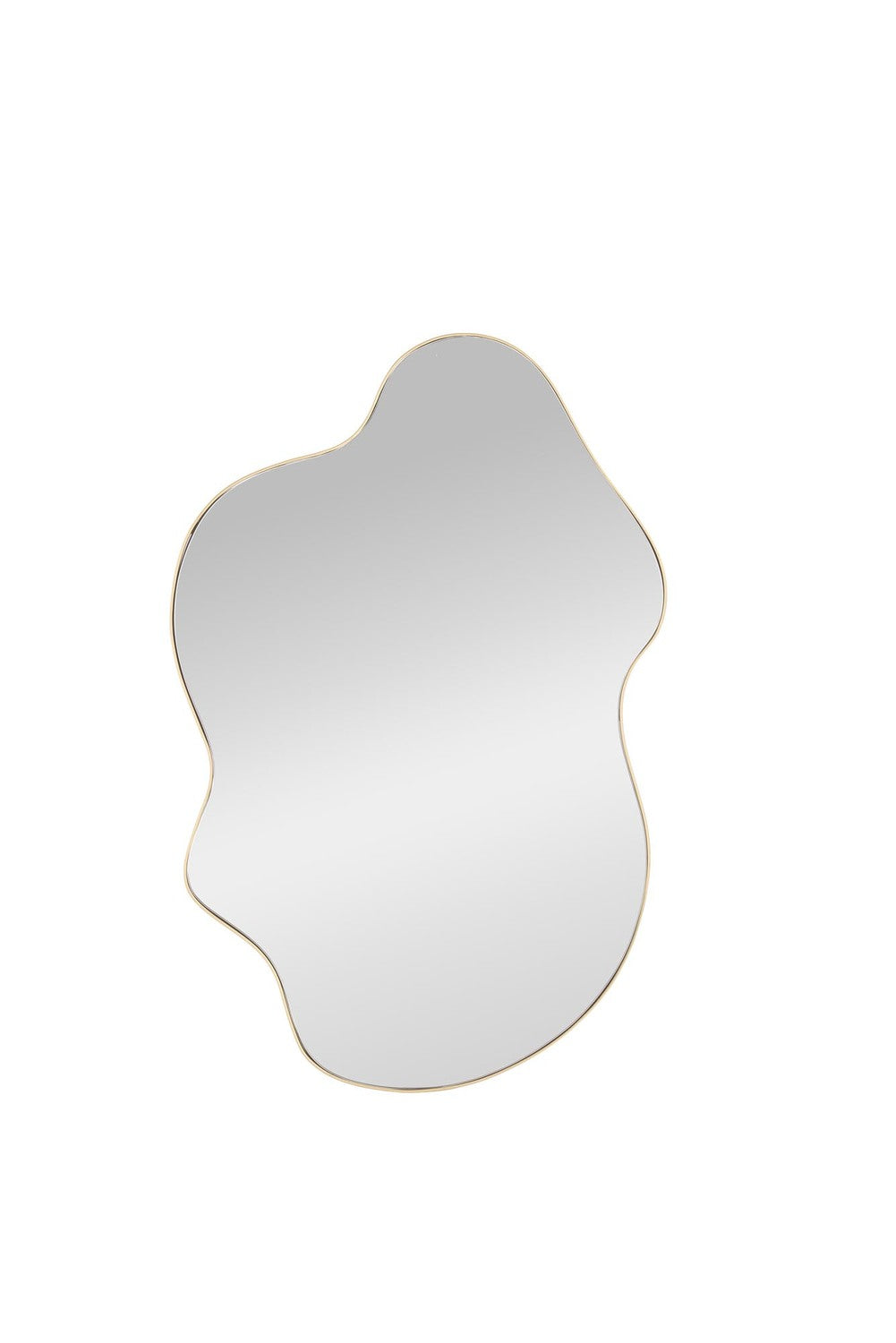 Spogulis Esse 90/56/1,5 cm zelts - N1 Home