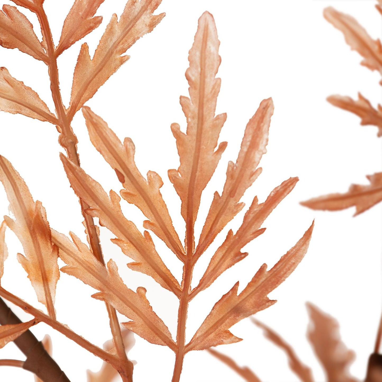 af052b69446aae40d6526742043ff44f