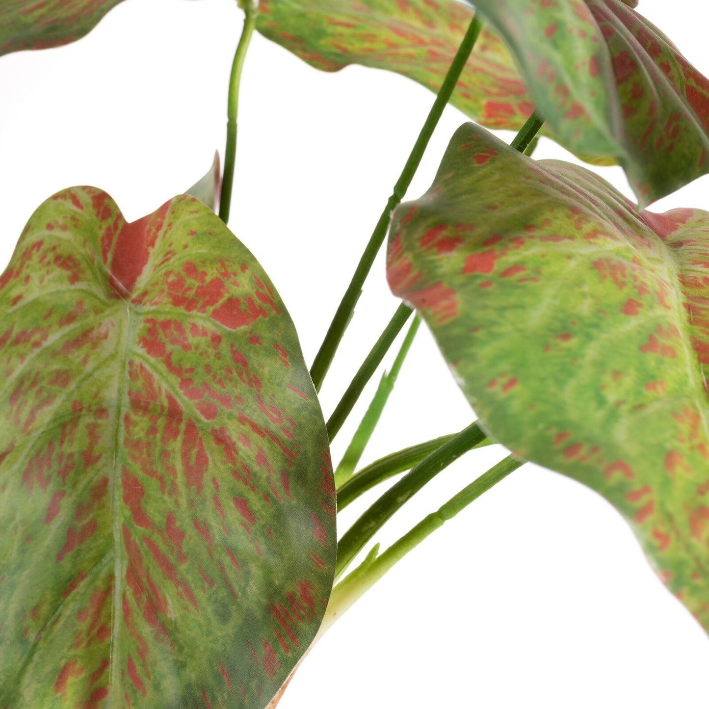 ebf1f3cbc858daed256a1618cb93cbd5