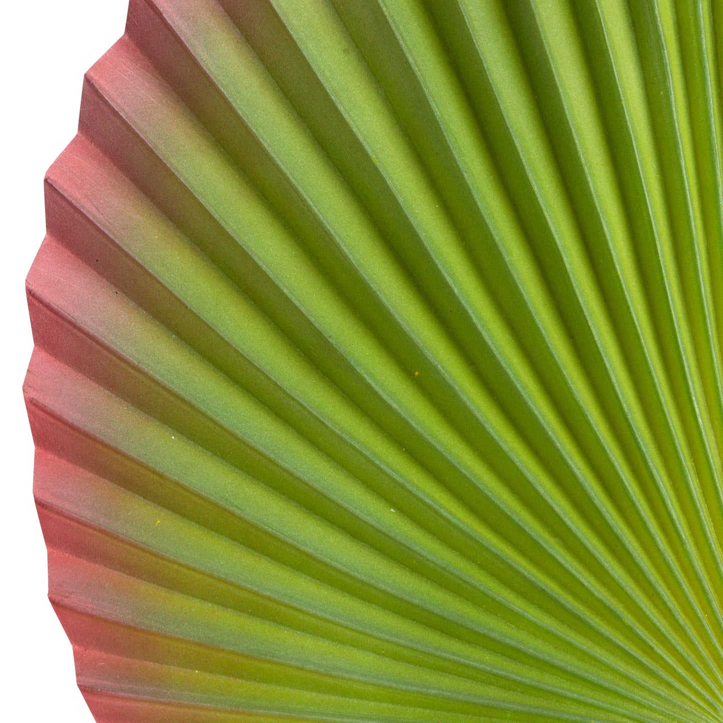 492ad0e164a1d5bee9790196672905b1