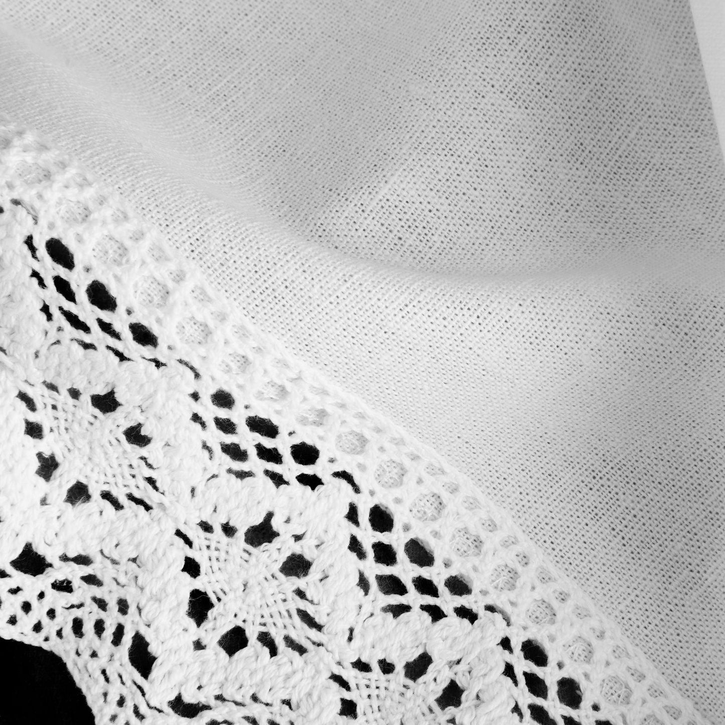 fed86e377eefac96a792bd4fa783c54f