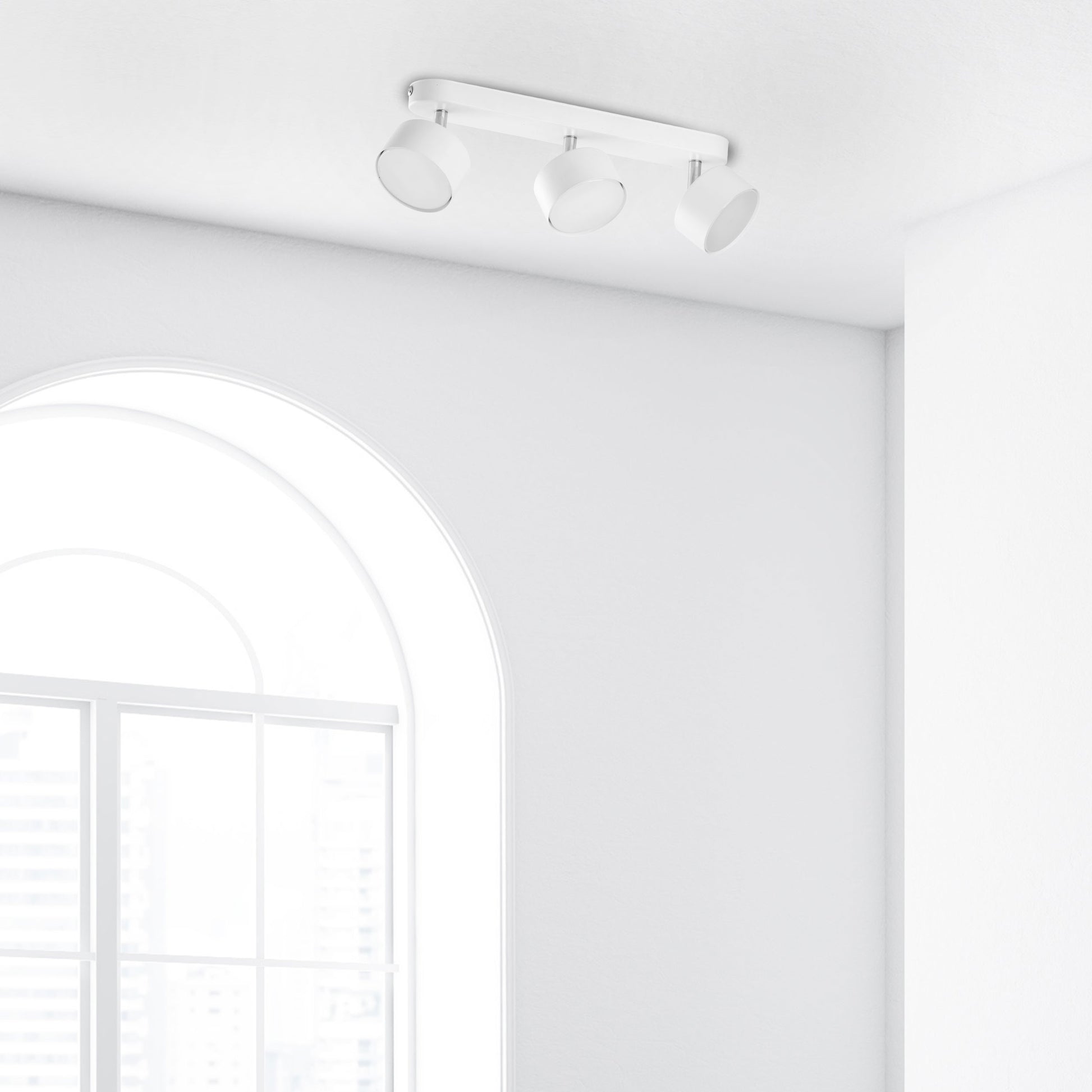 cebe58a5f9444ab8545e14231bd63044