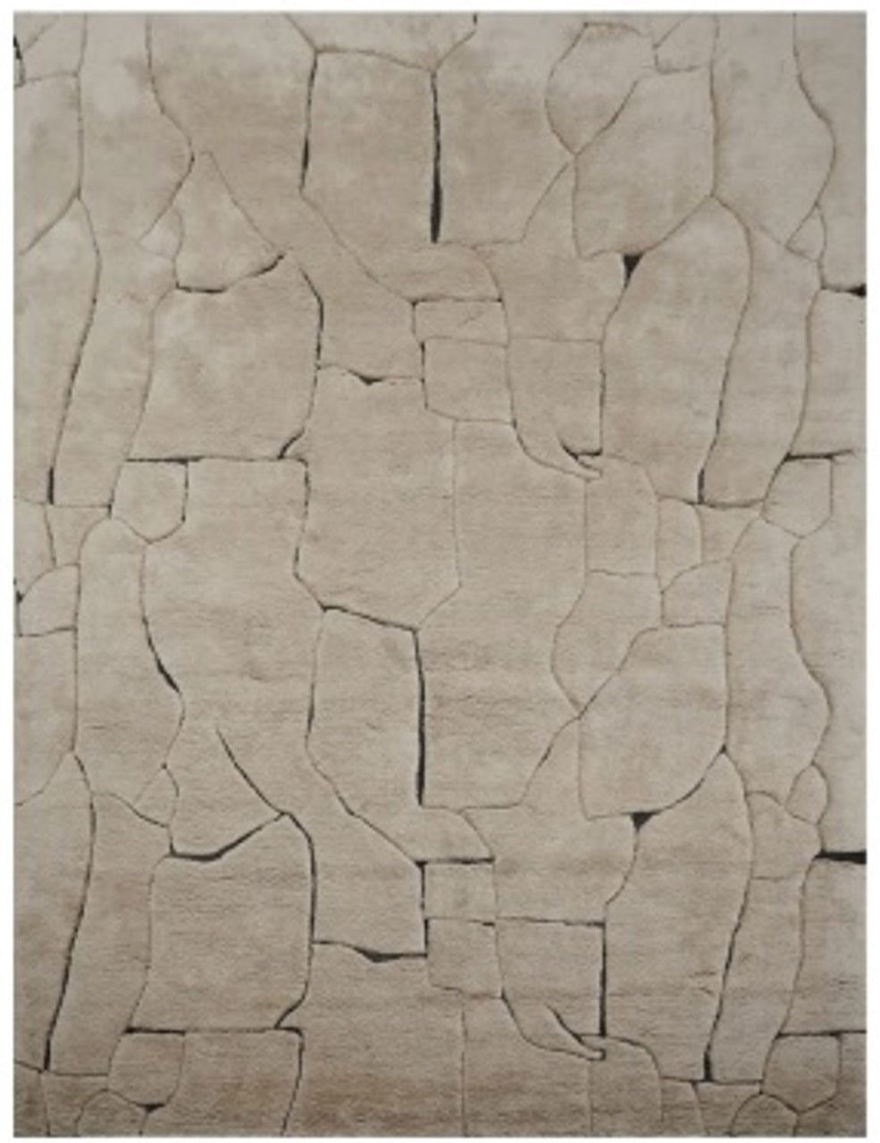 Paklājs Bhawan brown Richmond Interiors 200/300; 300/400 cm brūns - N1 Home