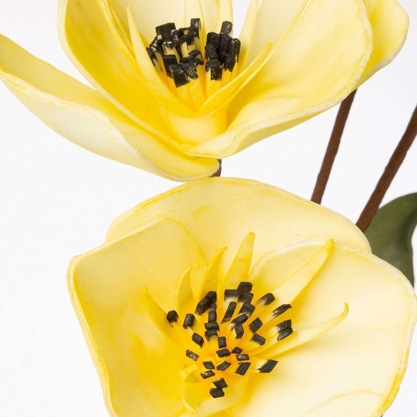 c9776ea08d5361a0770072d4e25ac155