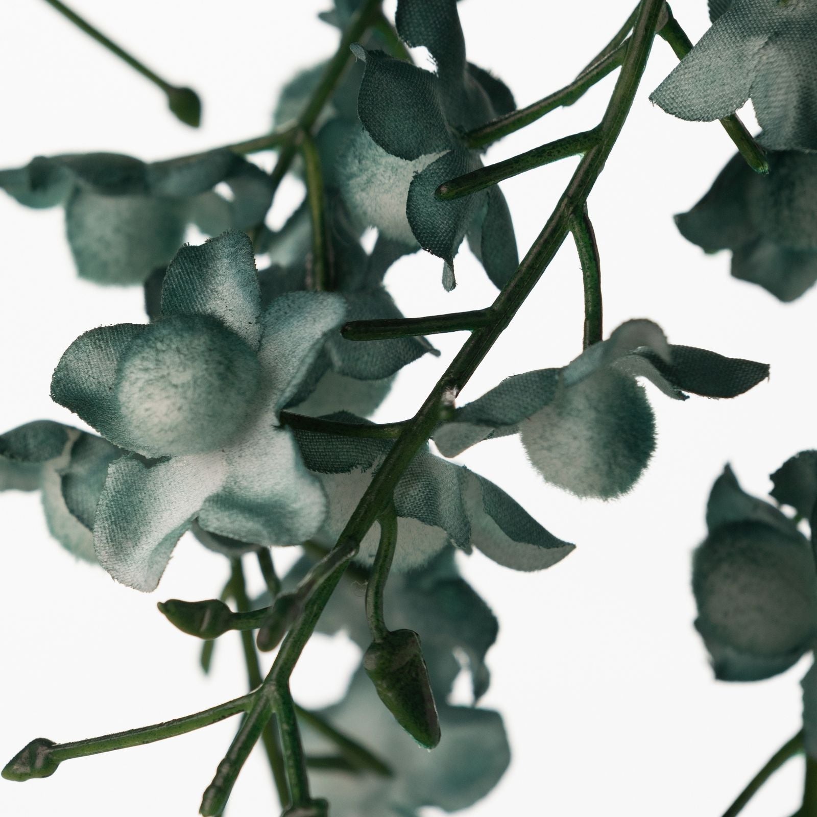 57ced8443b68aa2b9d098518dee5734a