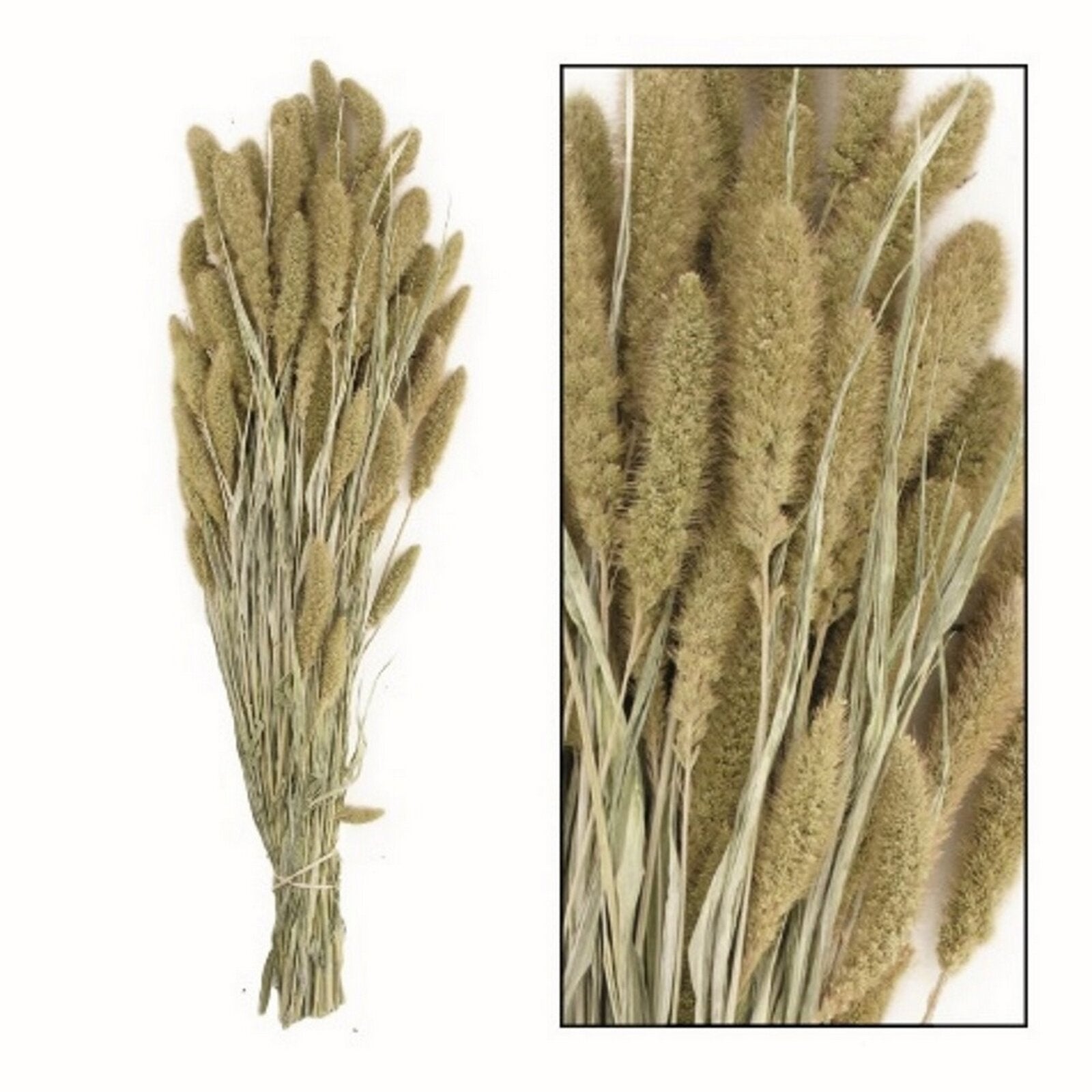 ad7f52ea153b5b9d870e73e5cb2d219a