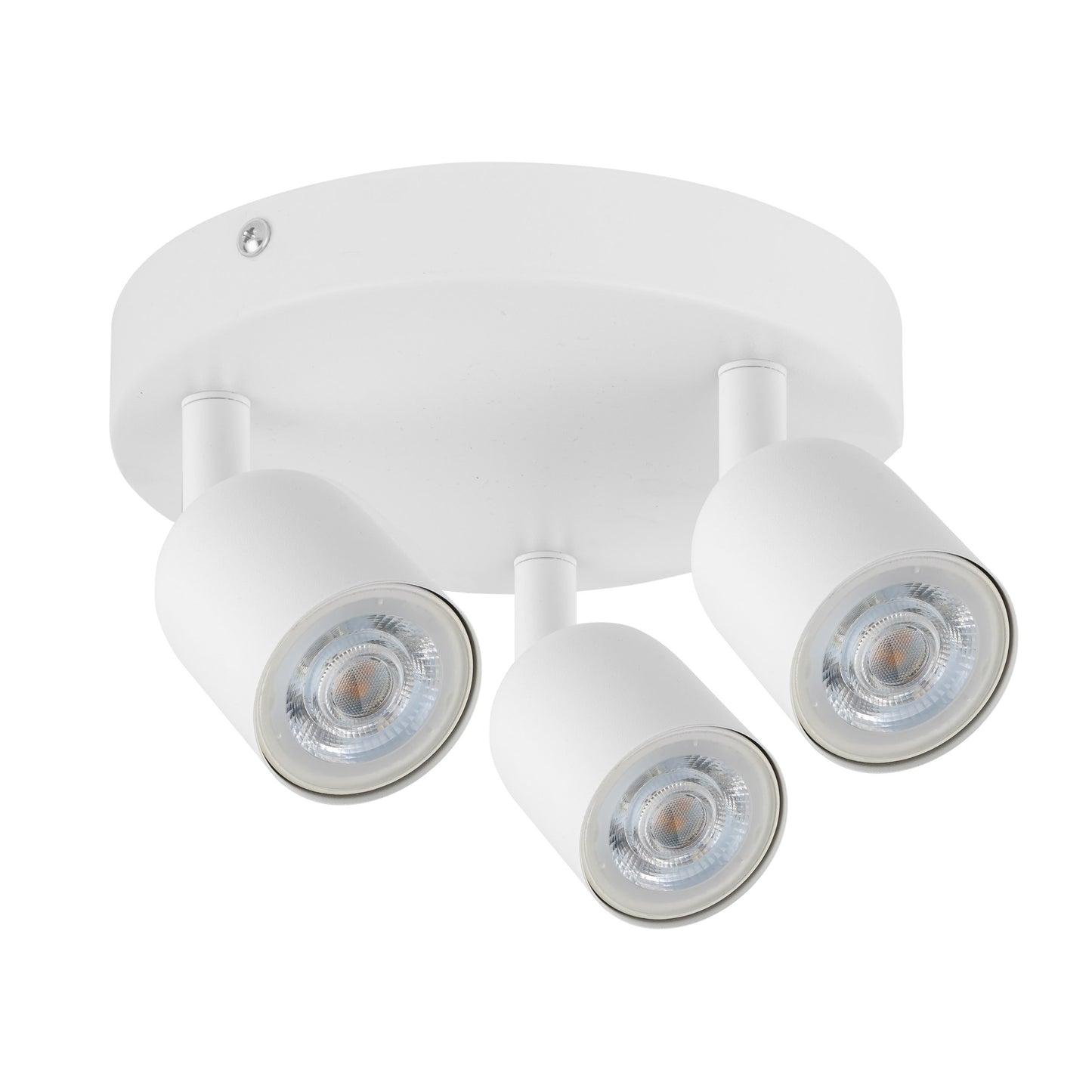 1c8c93e59a16737ea63df97f16b3e8fb