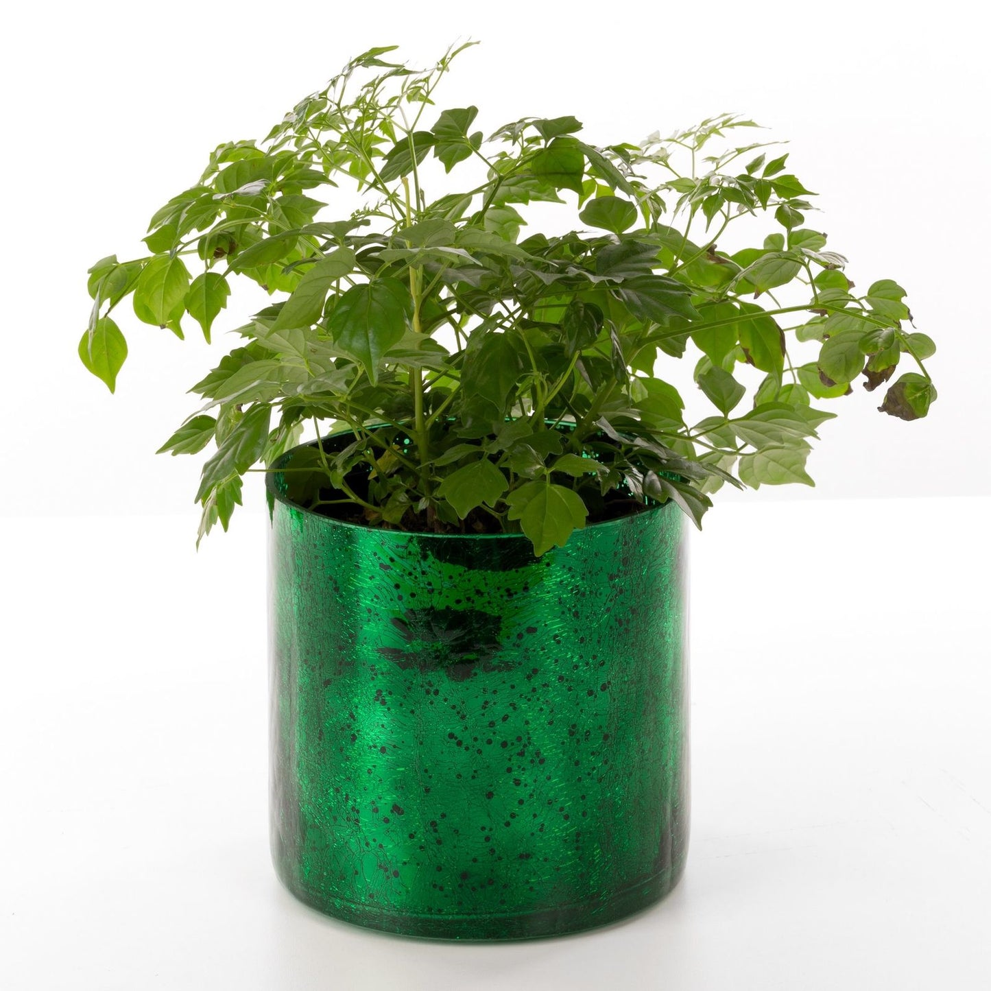 b27ad0c2f0a49064f3fd909d75020747