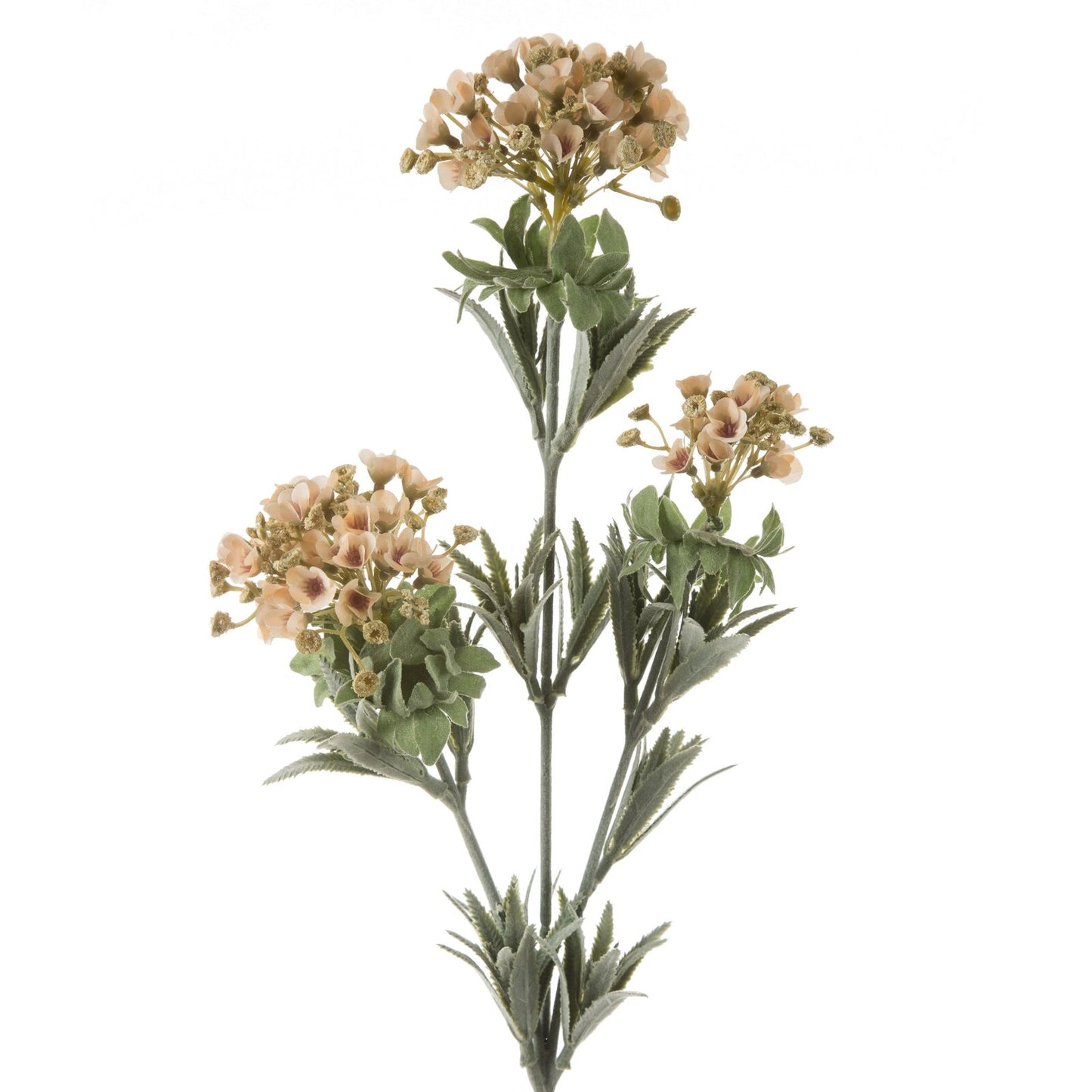 1d06056b0c3c47f405ad554f962651b4