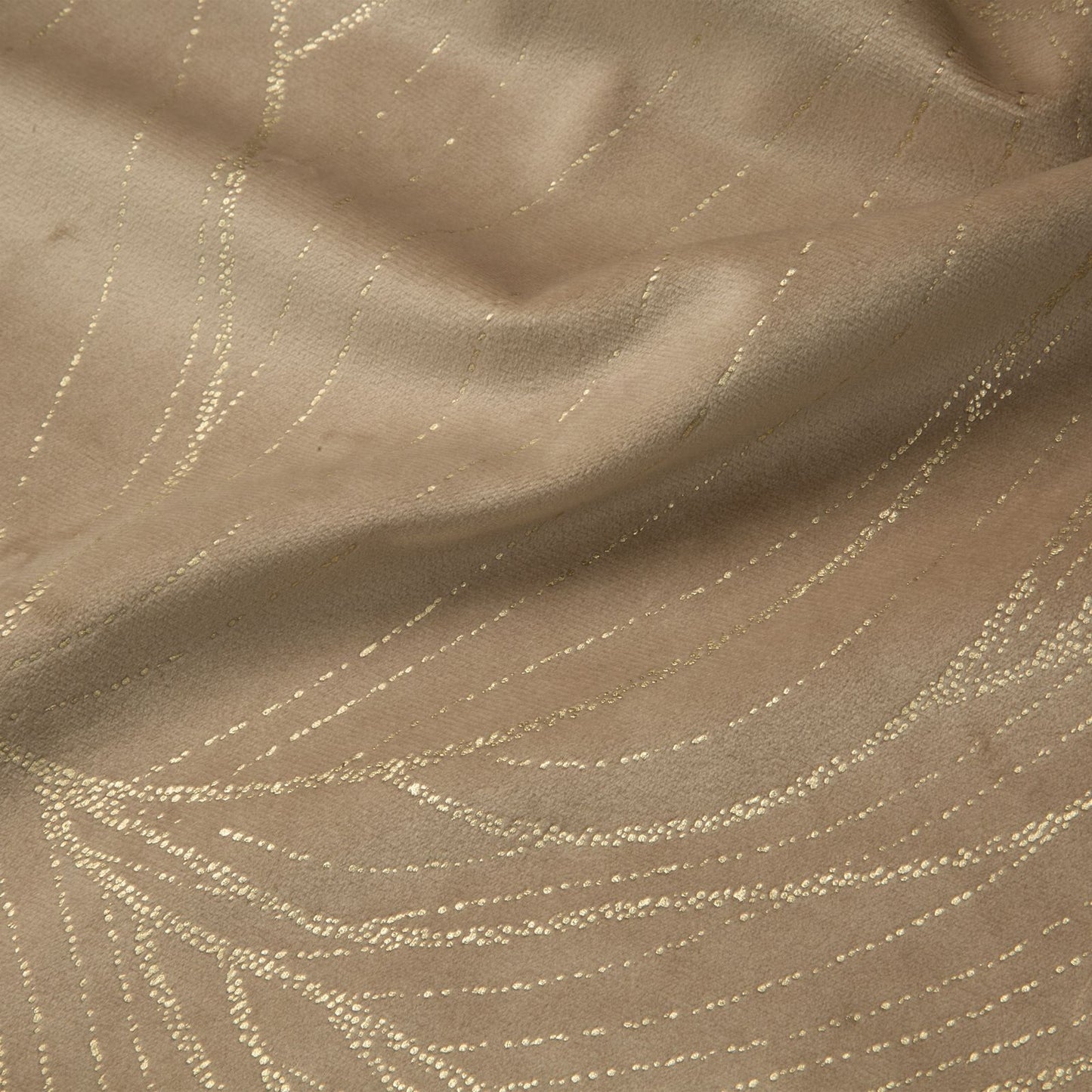 e6b44a2631c6cdbb2b3d0b3042a0f081