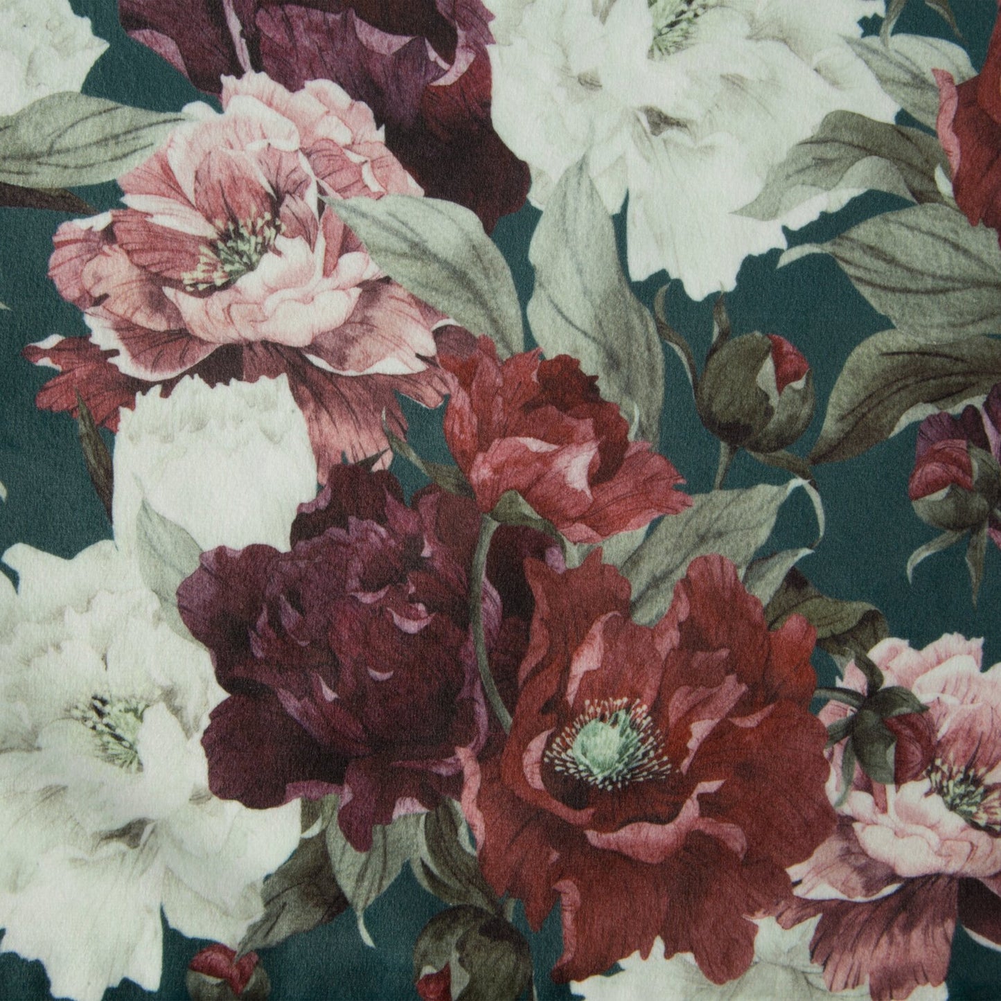 67e52799e2ff199b3a694be977dc6e6e