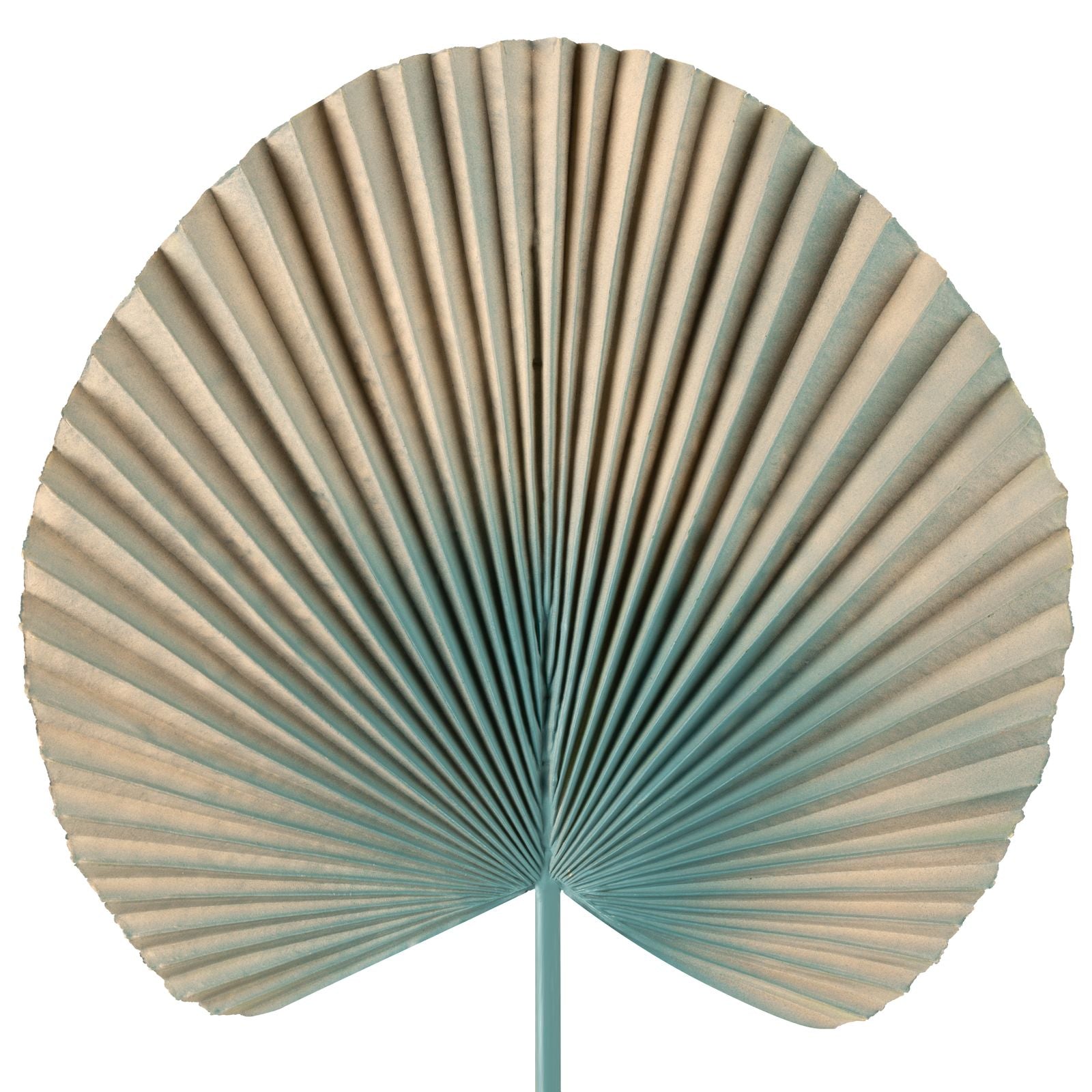 8f3e72a197f2abb4479a5458d8885c47