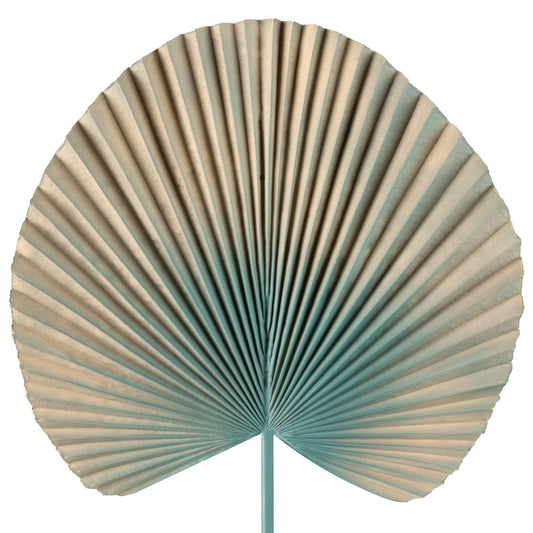 8f3e72a197f2abb4479a5458d8885c47