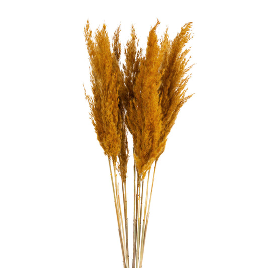 ad5536601e776cb0b7cf817dc399d891