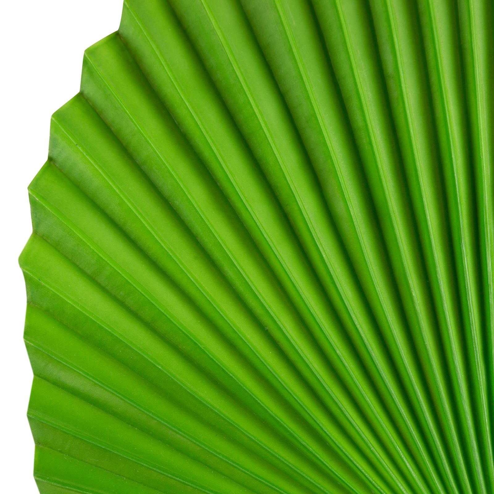 13f639aeecd0755b276a64e2b17970c1