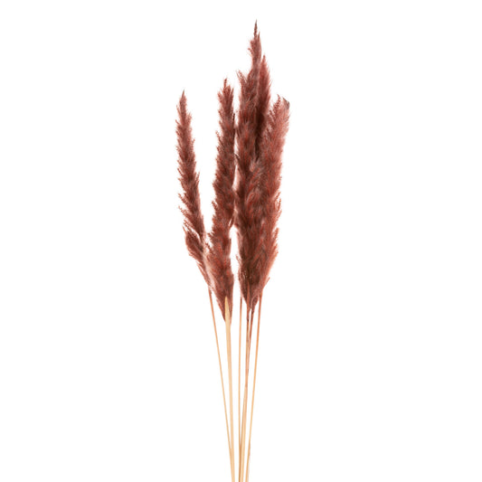 c30990ac023bf854233ee8d61f058ac6