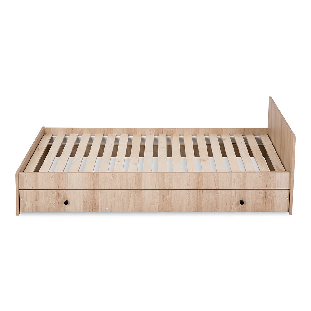 Gulta KOTO 176 /95 /88 cm dižskābardis - N1 Home