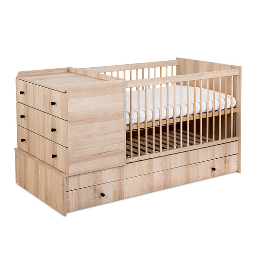 Gulta KOTO 176 /95 /88 cm dižskābardis - N1 Home