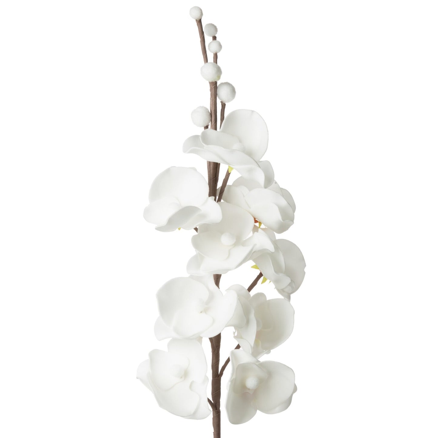 0dec681a3ebae8af098b4dc1c4eaf5a5