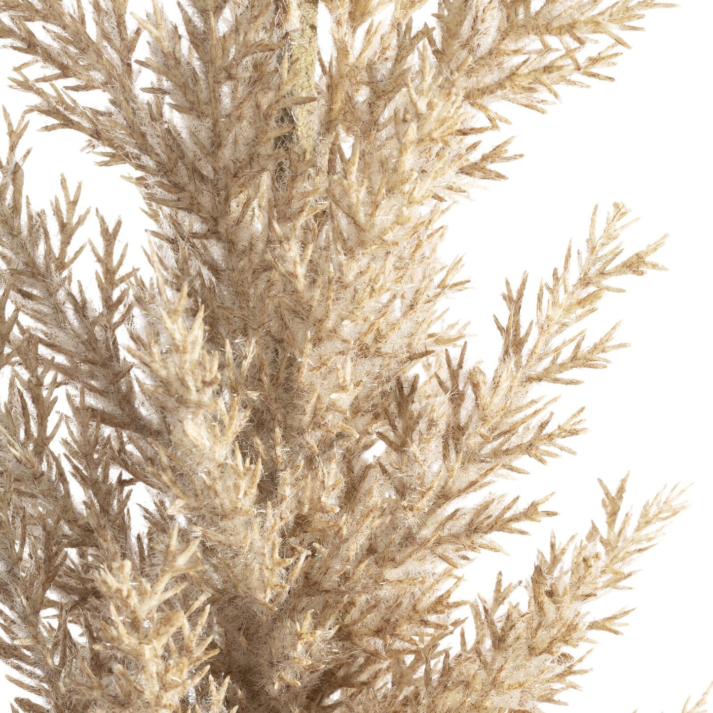 68bf68bfc39dd0369ebac0c4cbd54444