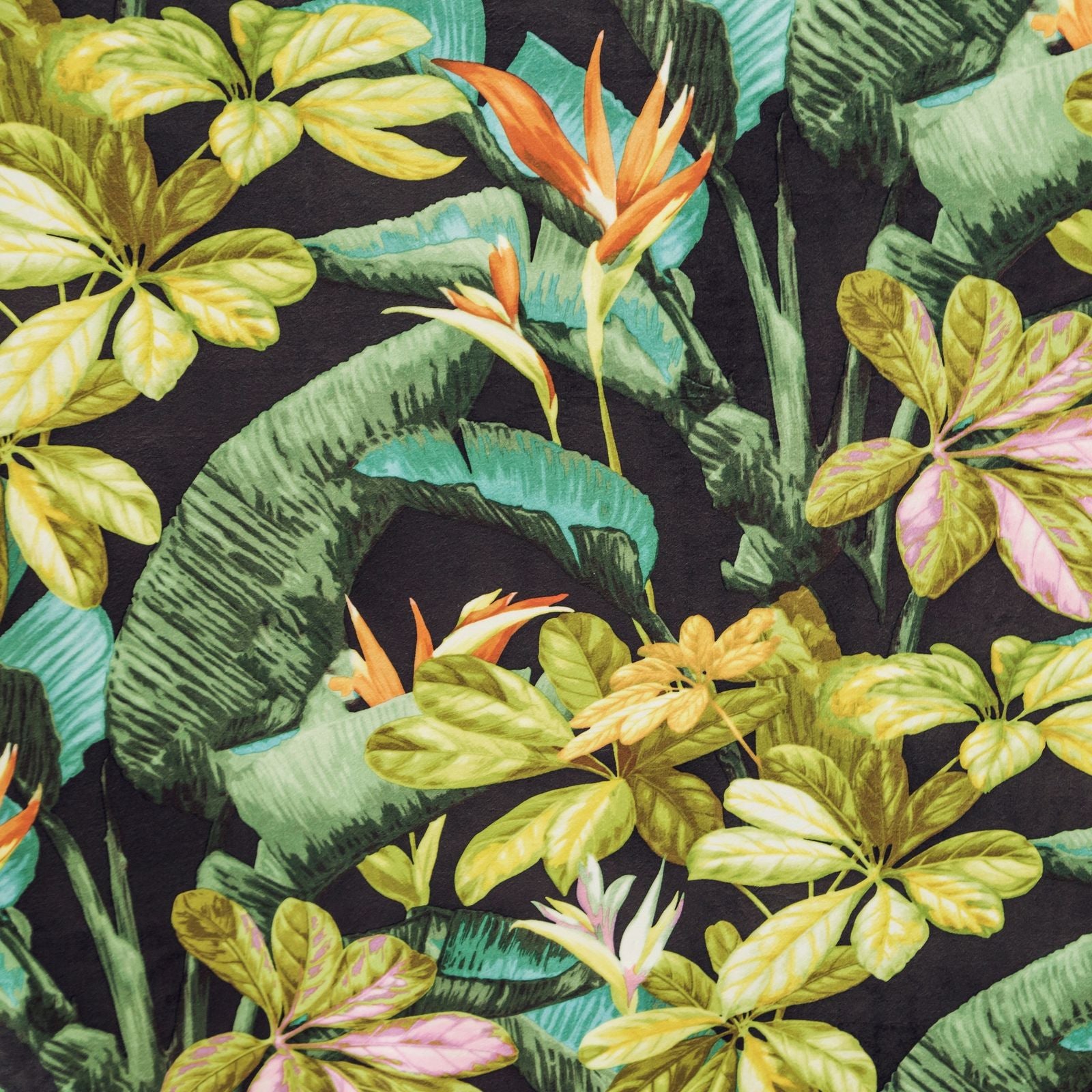 c8a39904f5e80220159f90d377cba294