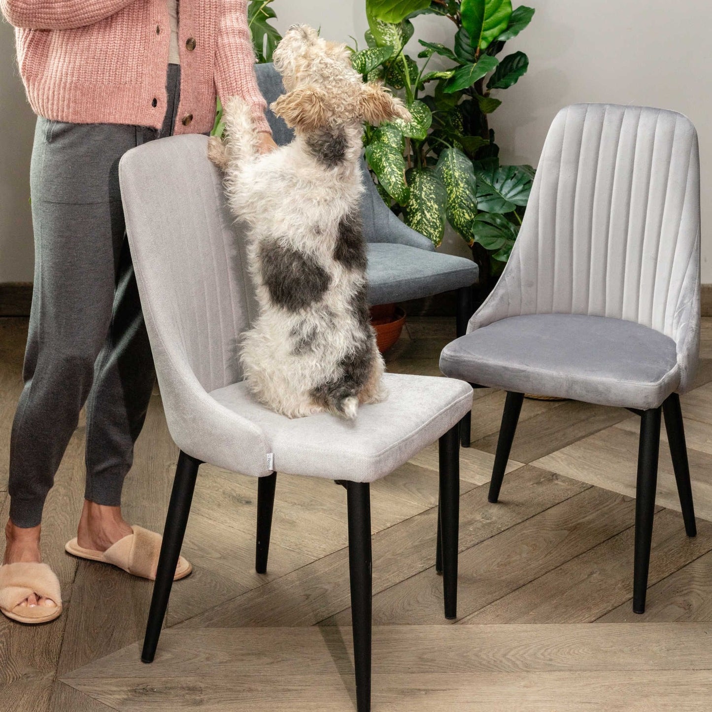 LOUIS krēsls gaiši pelēkā audumā 45x45x90 cm