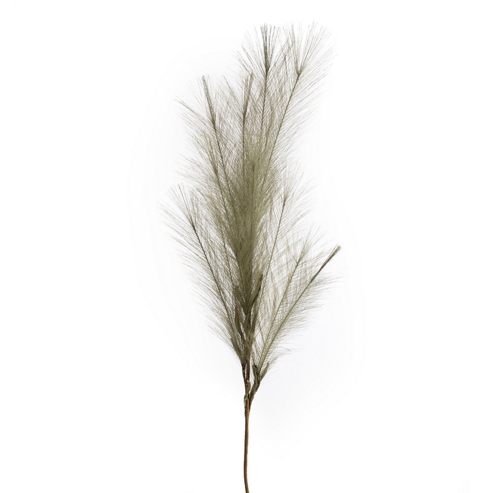 535bdbeeacb927ac1b0746c1623d2c18