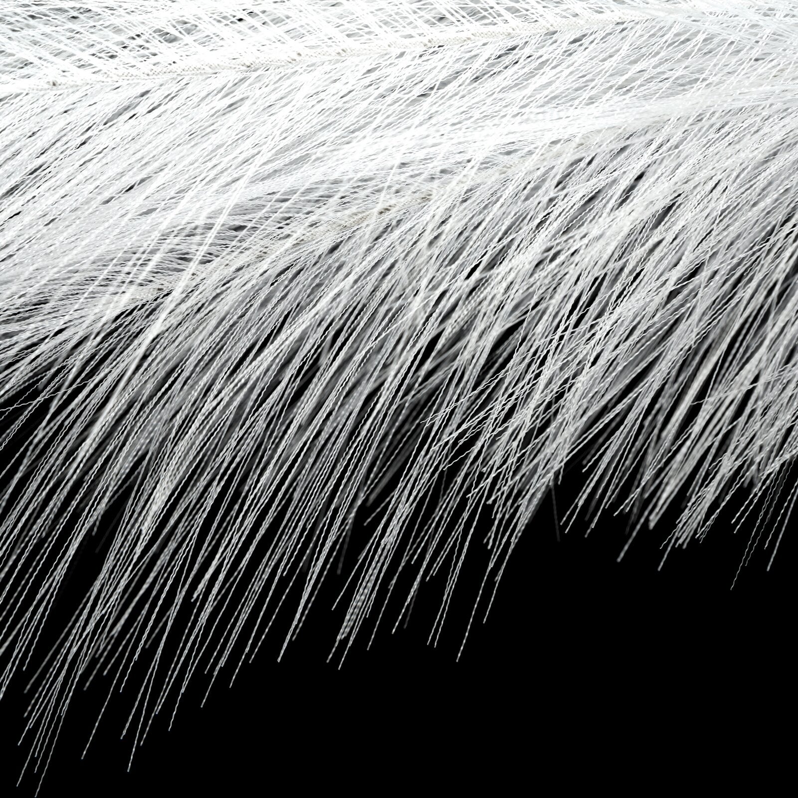 e7f59616be2f73a3b867eb0746e8ae60