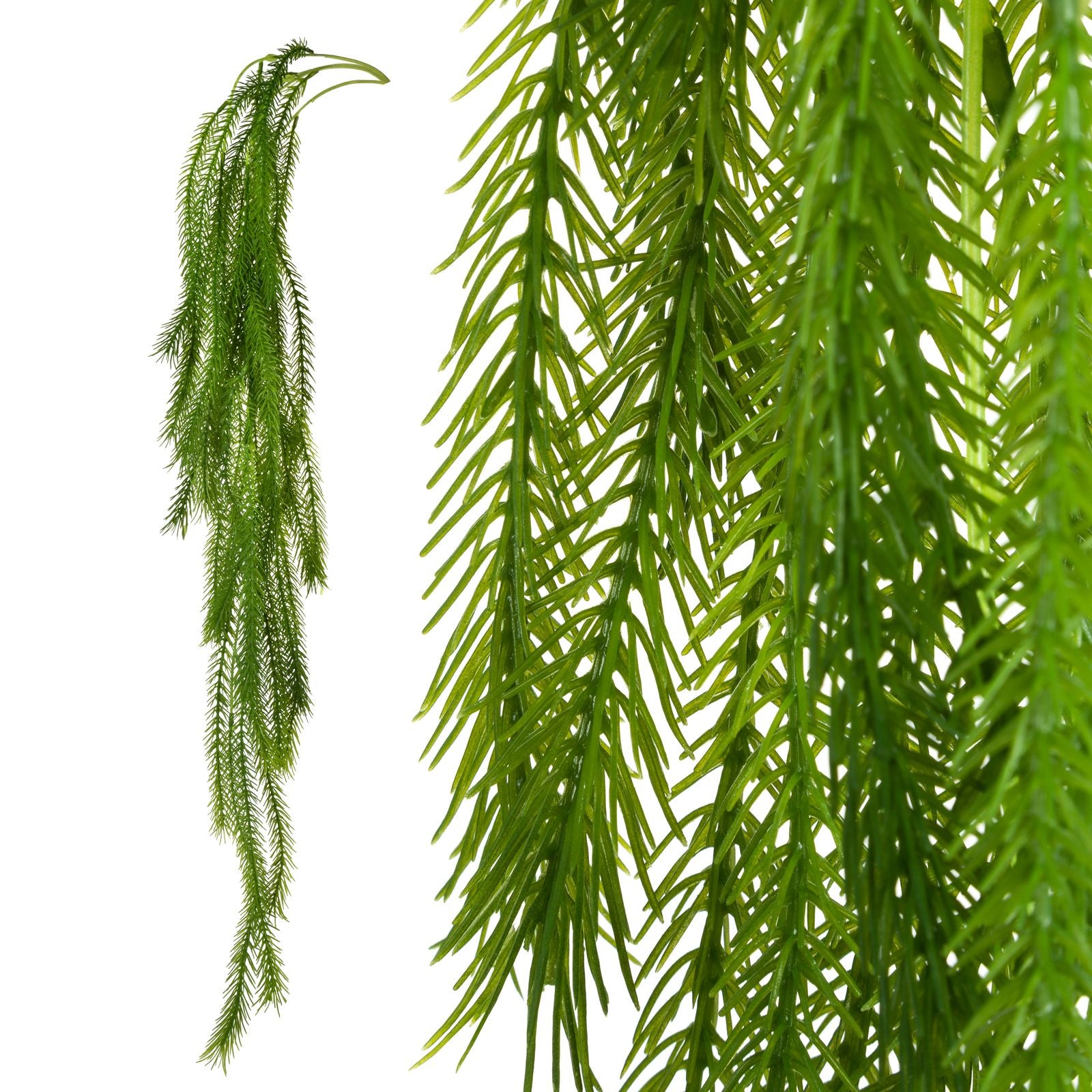 52463ebad20f586ac72b005d7481c14f