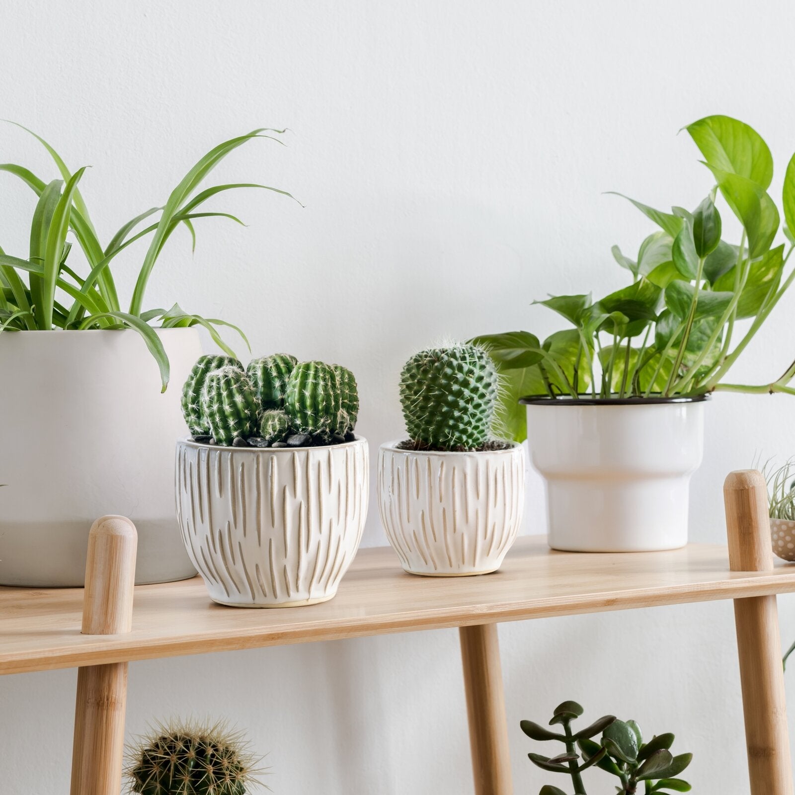 295a2623eb6b5f250661a0ec7df8893a