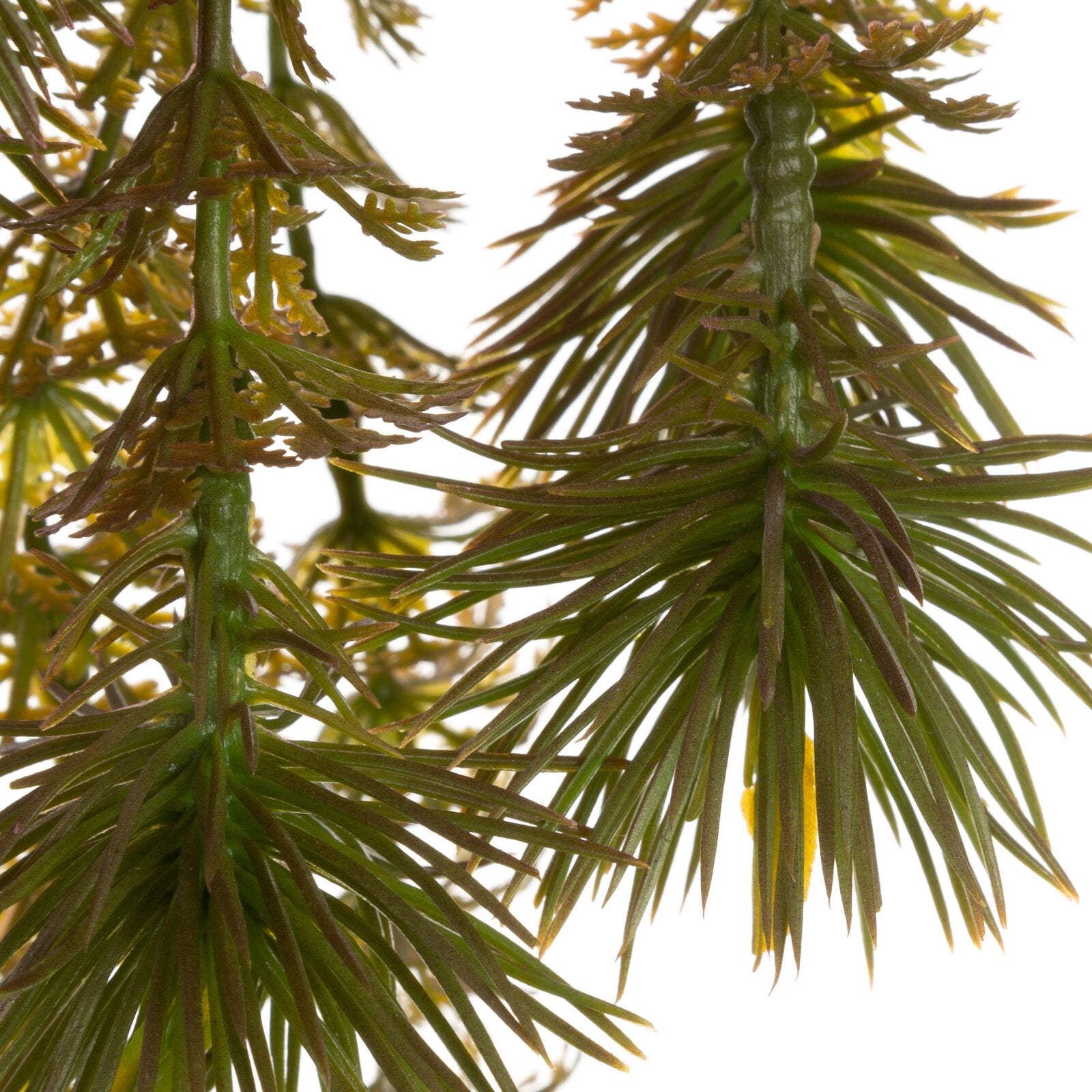 6ef13c2de1cf6f1e395c94754e9018e7