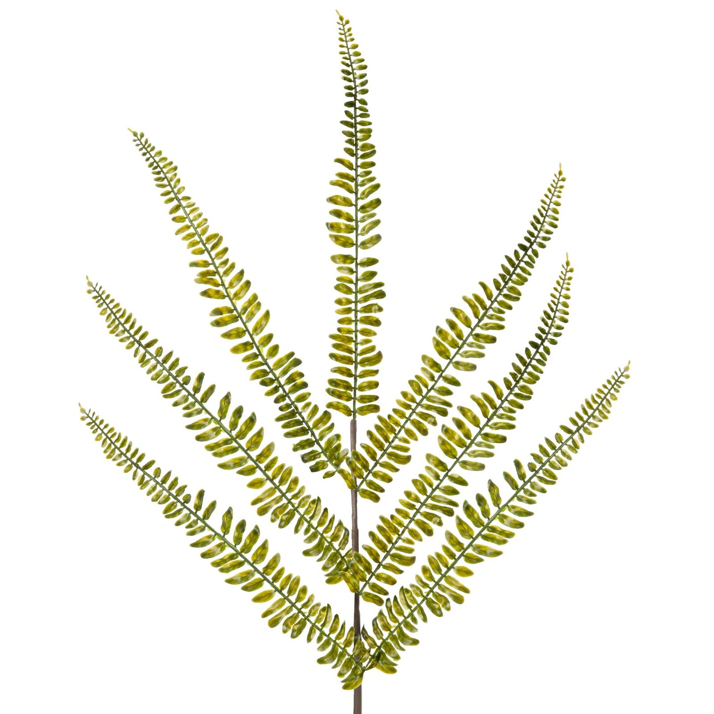 3e765d147ab71c3c72e03e5c03c8dec3