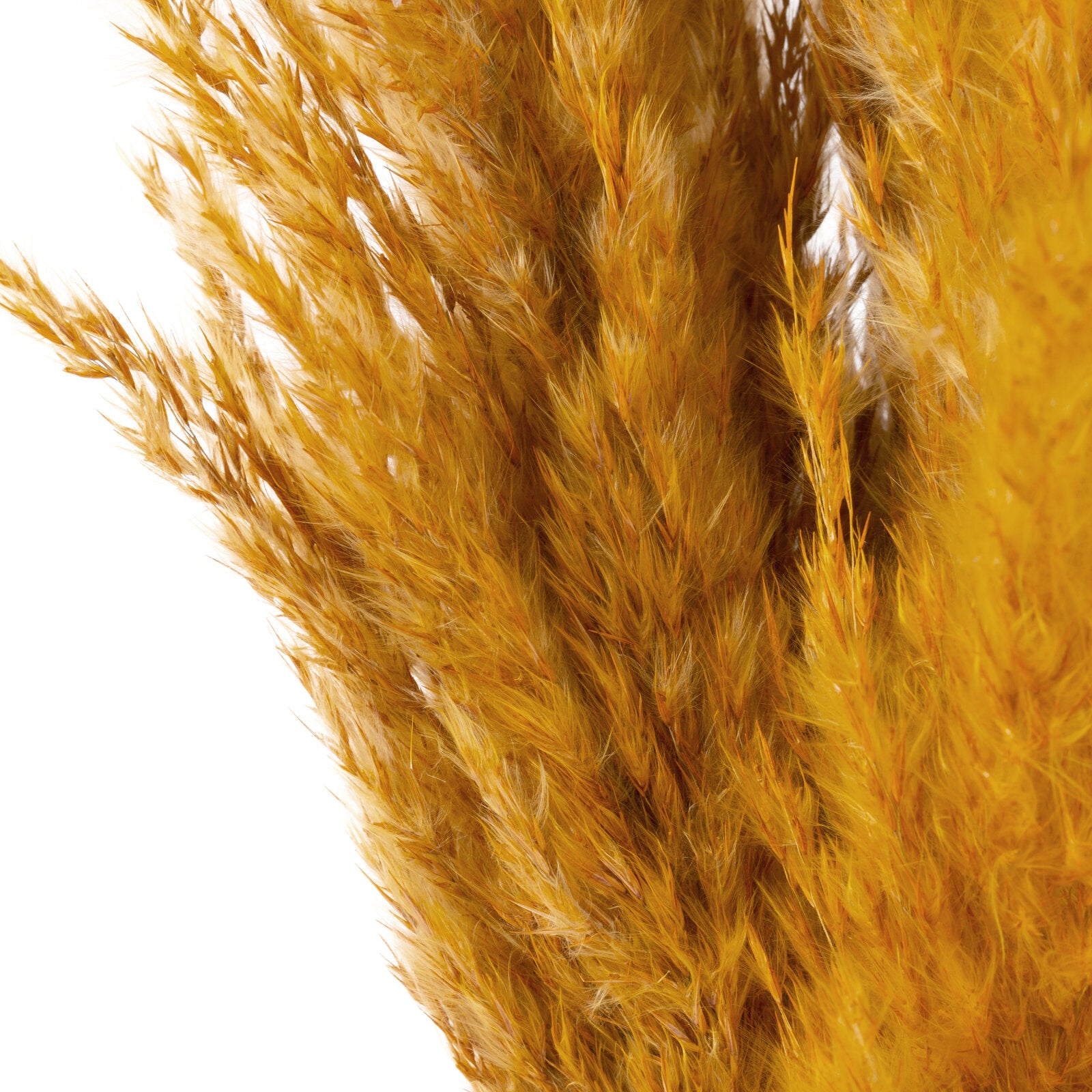 e1110c00b80cb9c12fedf408cac5d131