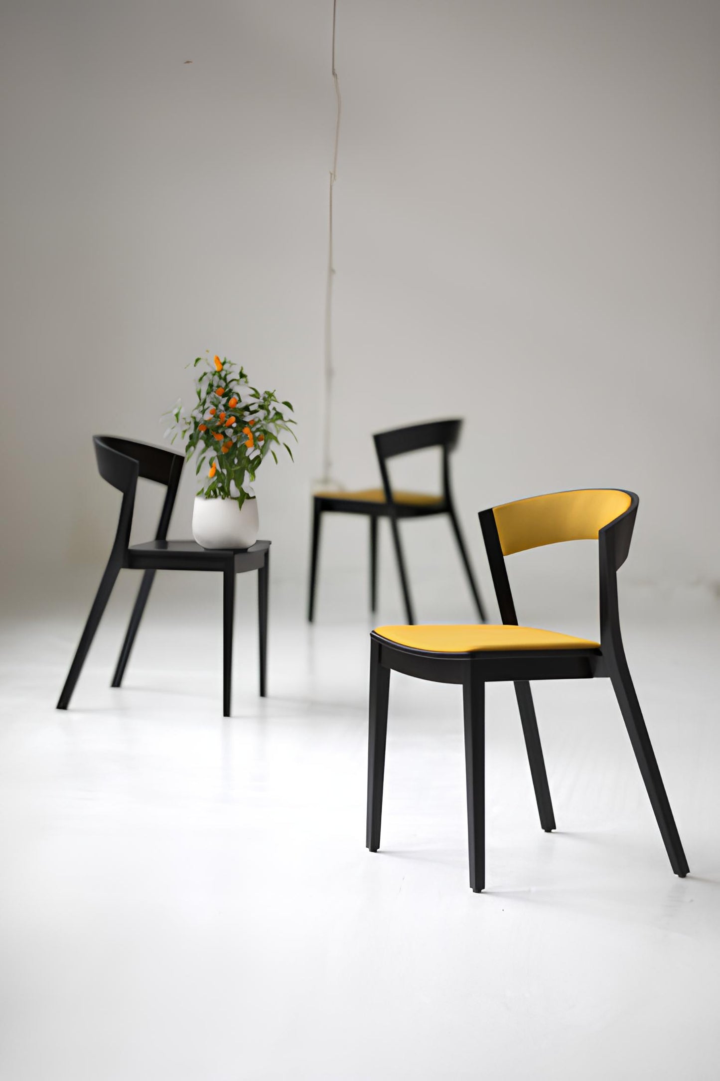 Koka krēsls ARC pufs 78/54/47 cm - N1 Home