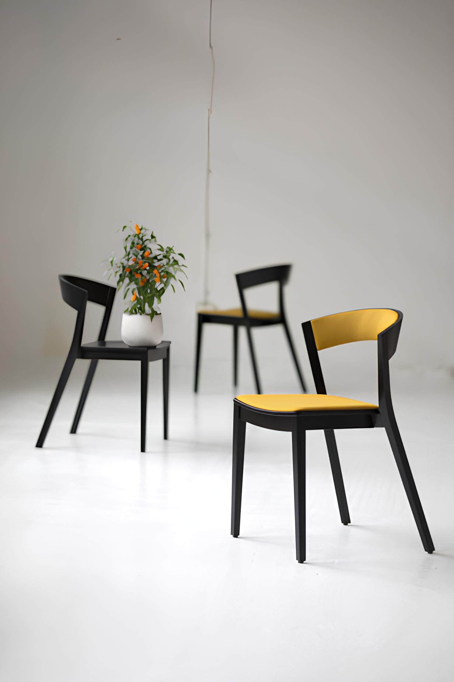 Koka krēsls ARC pufs 78/54/47 cm - N1 Home