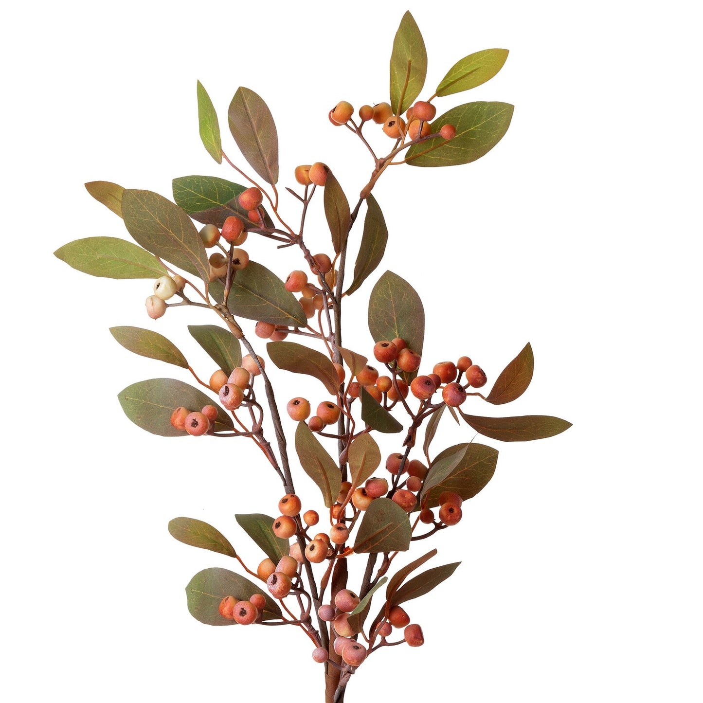 295c42c5629bff892a26fa7a01725d31