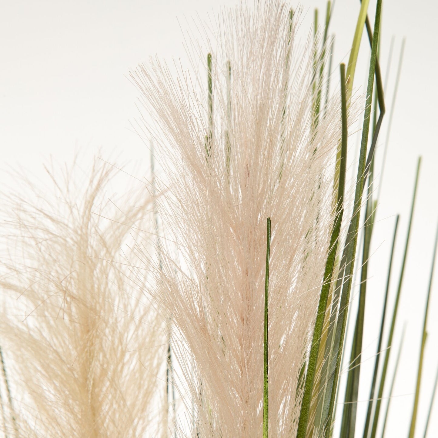 a3fcdc7b4c29a109b43c4334a701d937