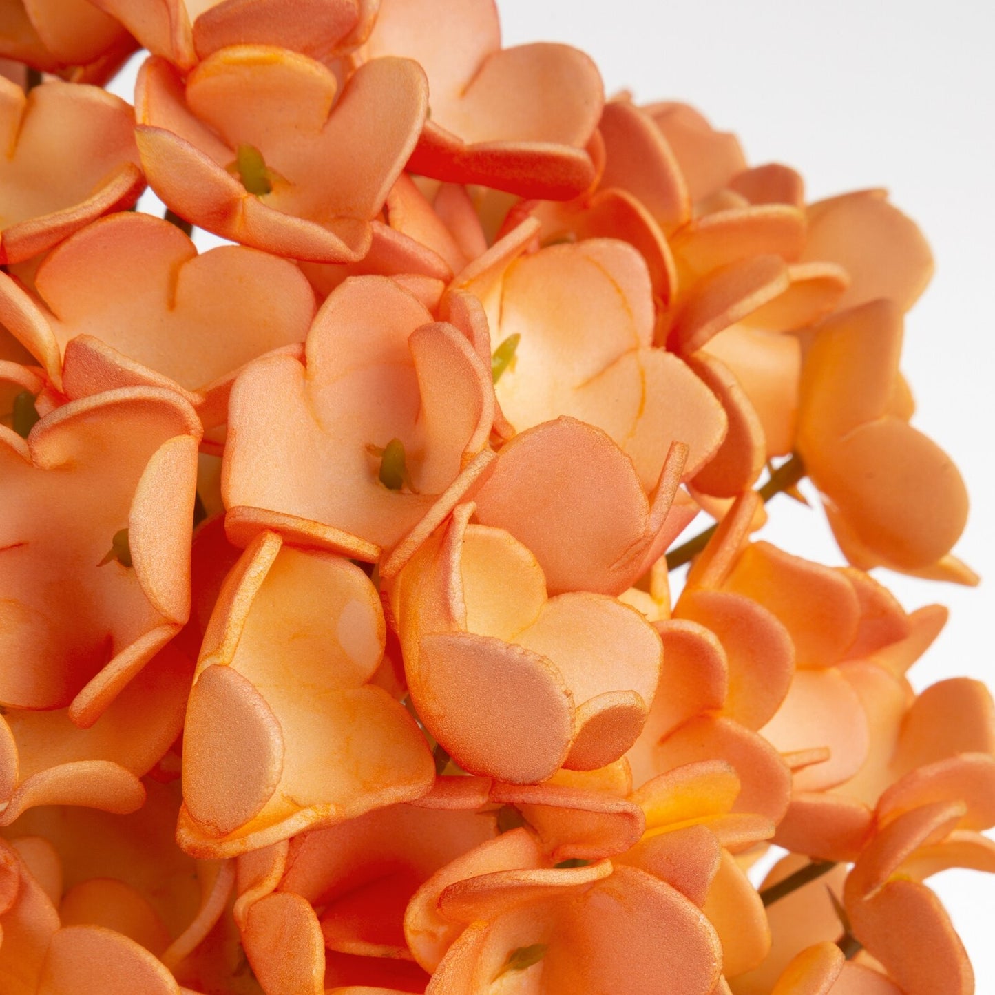 c0b0aa4025df6afd8d944732f21eed52