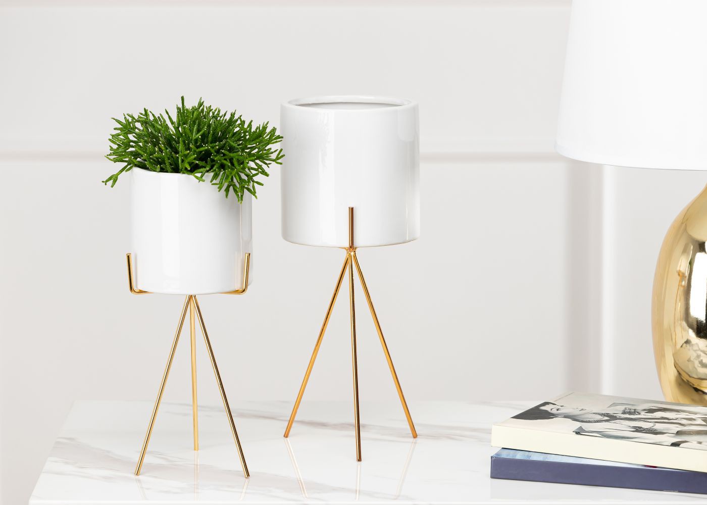 1806e9974f25f857508c6c7b7ec044d5