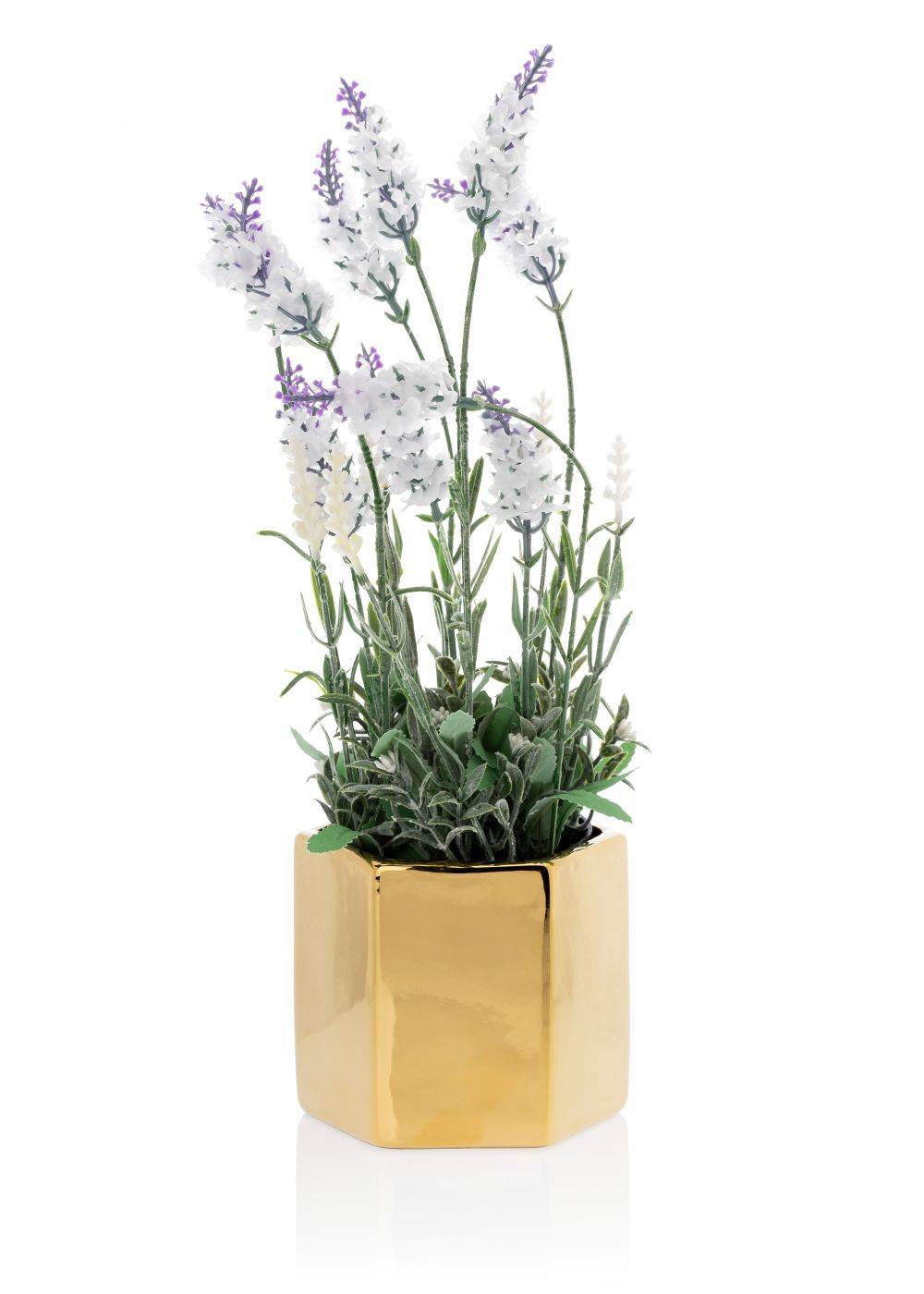 1e9b6280d8b2125160146faa6936b6c3