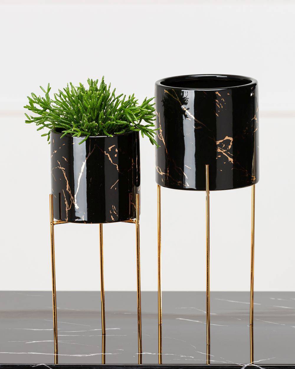 ff211837f0df835e4703c76b57f6bd29