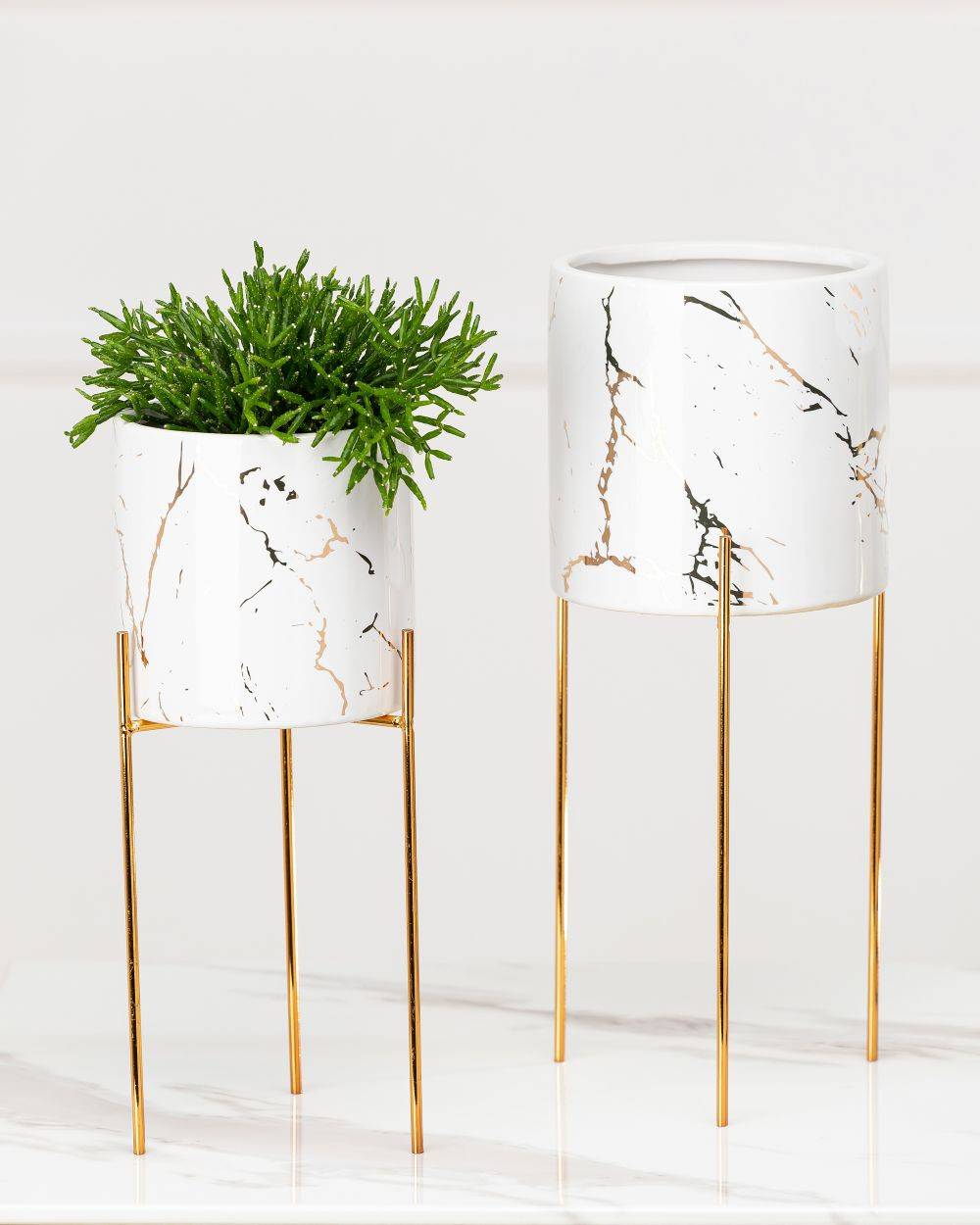 c87be8c810219b6de752dd06cd4476a6