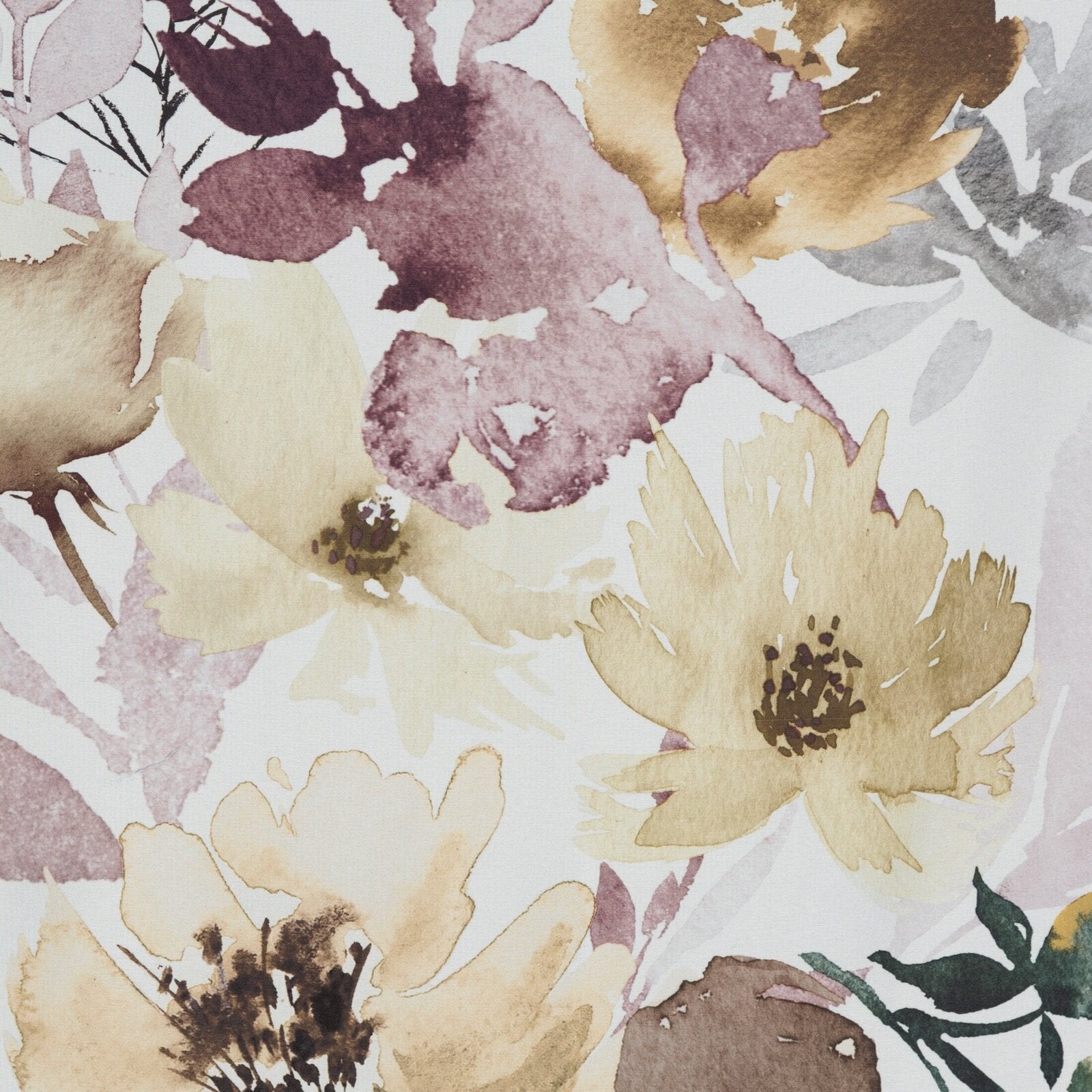 5014ecd5f00221b1b2eb3a72cef9b5a1