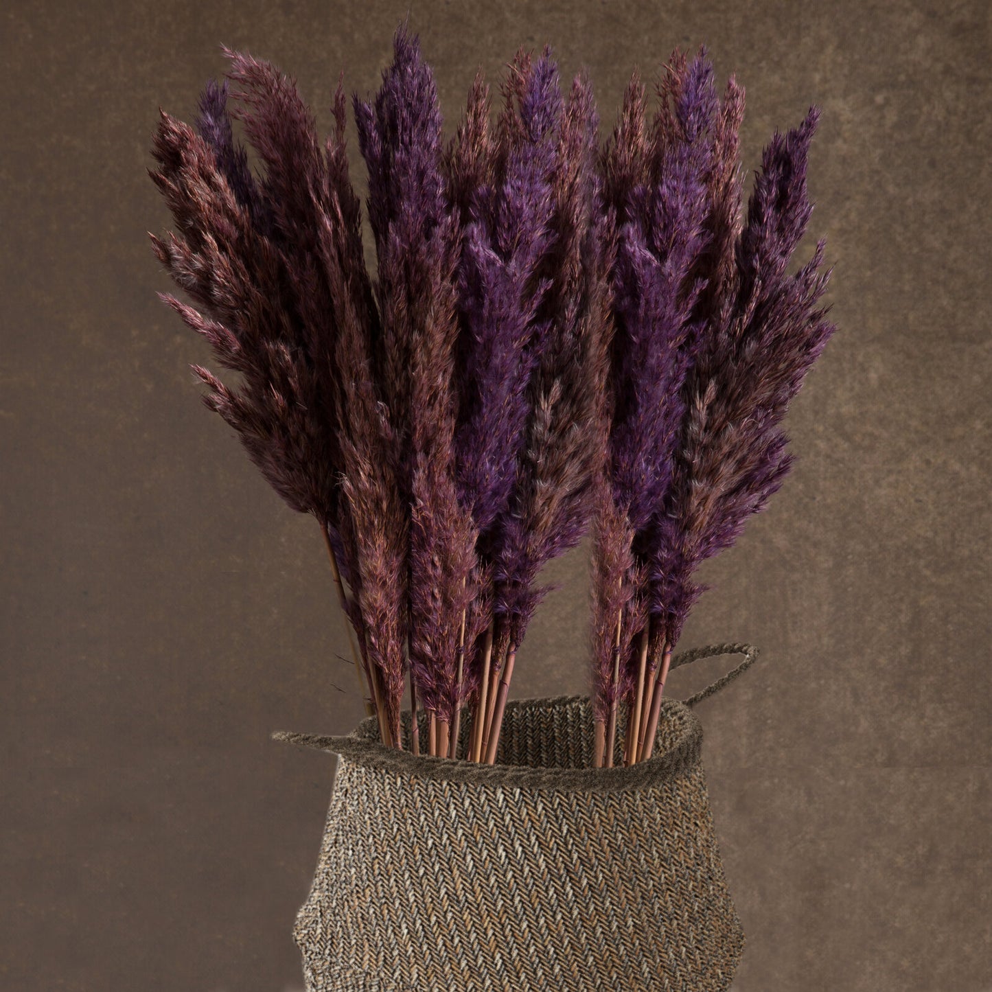 308d32a20c8e84c103ef929c5be24388