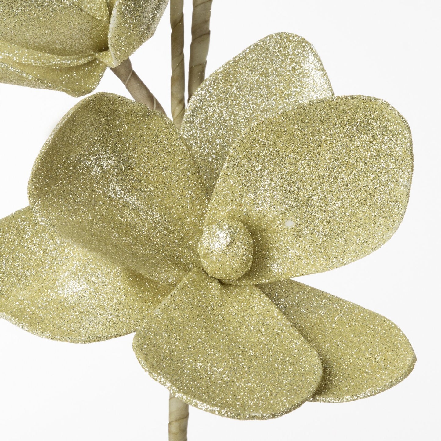 cbfde7ce6ec84319c7c474b62481ba5d