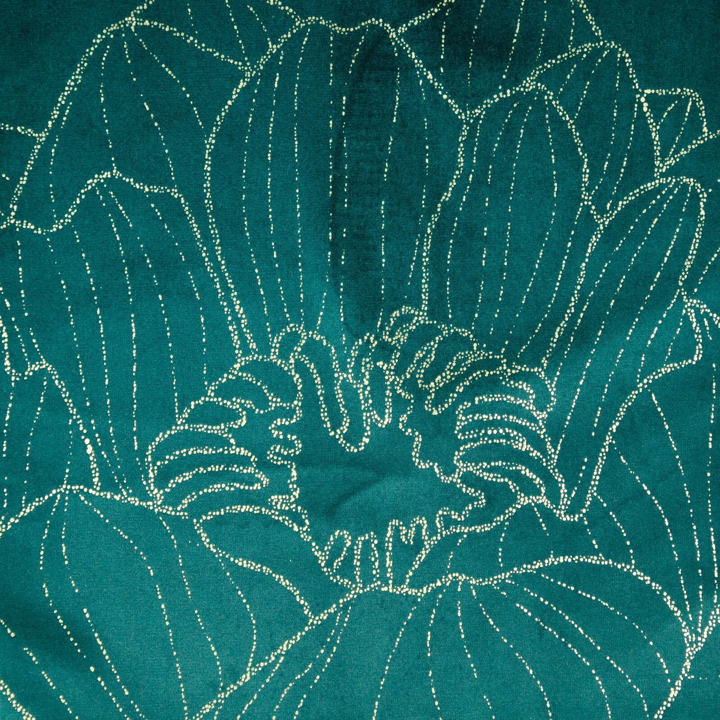 0464313d01ffee9d1738a620722dc558