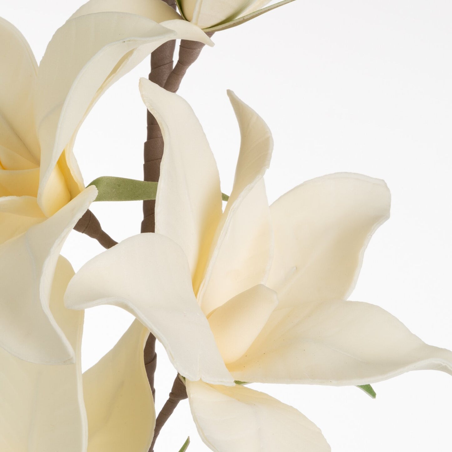 883c67fc5183947d6a885109bf94e024