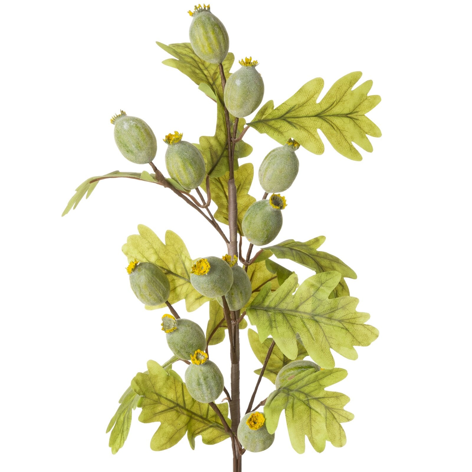 2825125480d80a386eac4b0461c724b7